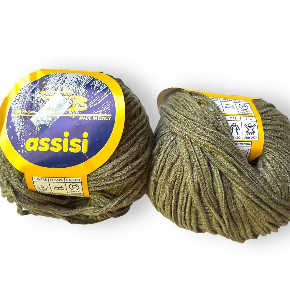 2 Skeins FB Assisi by Bertagna Filati  Cotton Linen Italian Yarn 🧶 #2783 green